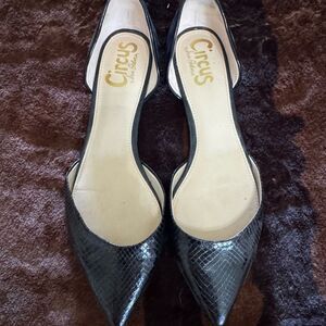 Circus by Sam Edelman Black Snakeskin Flats